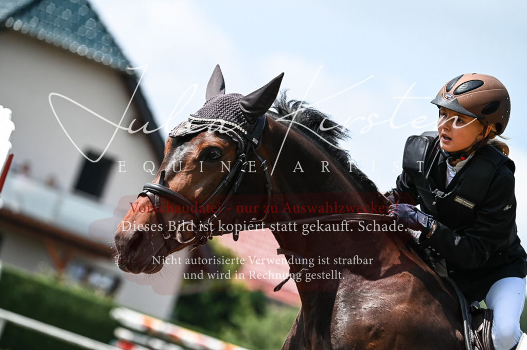 DSC_9266 | Pferde- und Turnierfotografie in Westsachsen. Pferdeportraits, Auftragszeichnungen und intuitive Kunst.