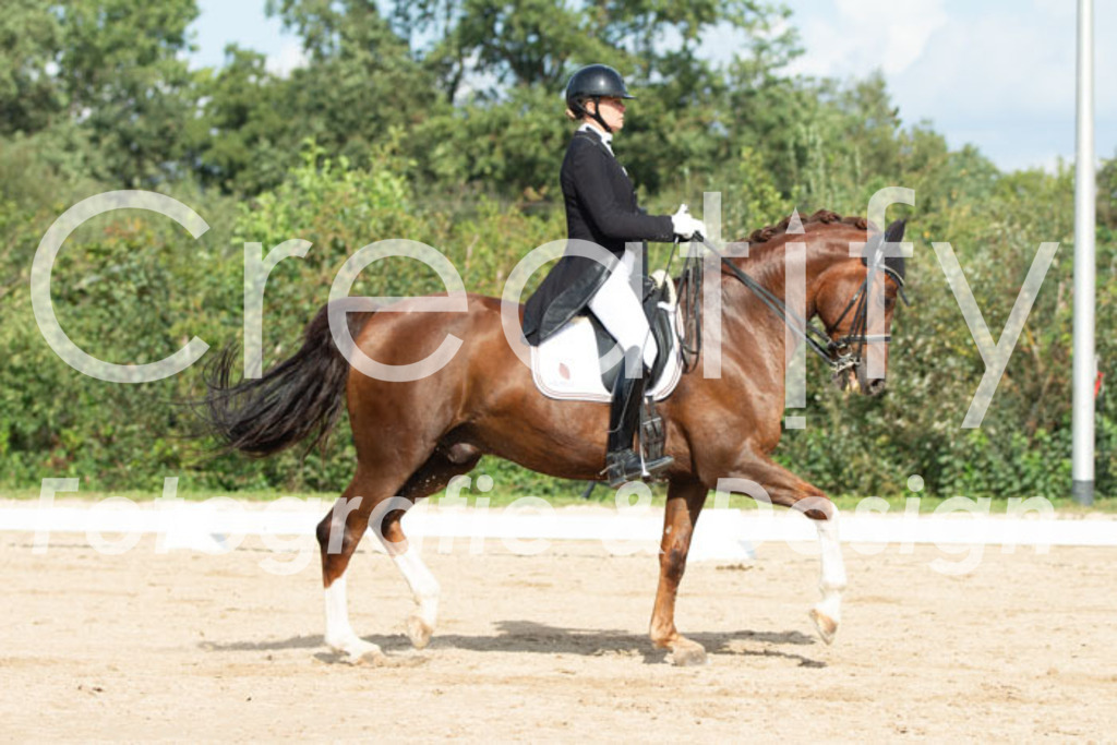 IMG_3876 | Creatify Fotografie