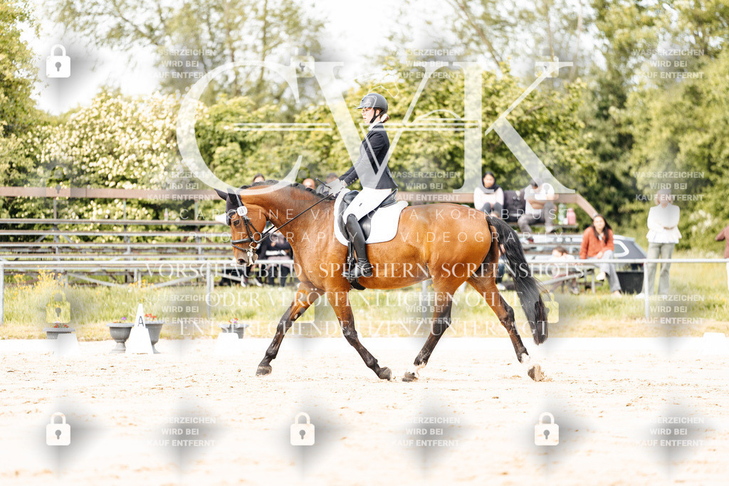 CK900922 | Turnierfotografie Pferdefotografie Trier Rheinland-Pfalz Pferdesport Reitsport Tierfotografie Sportfotografie Pferdevideo Pferdevideografie Equestrianvideography equestrianphotography  - Realisiert mit Pictrs.com