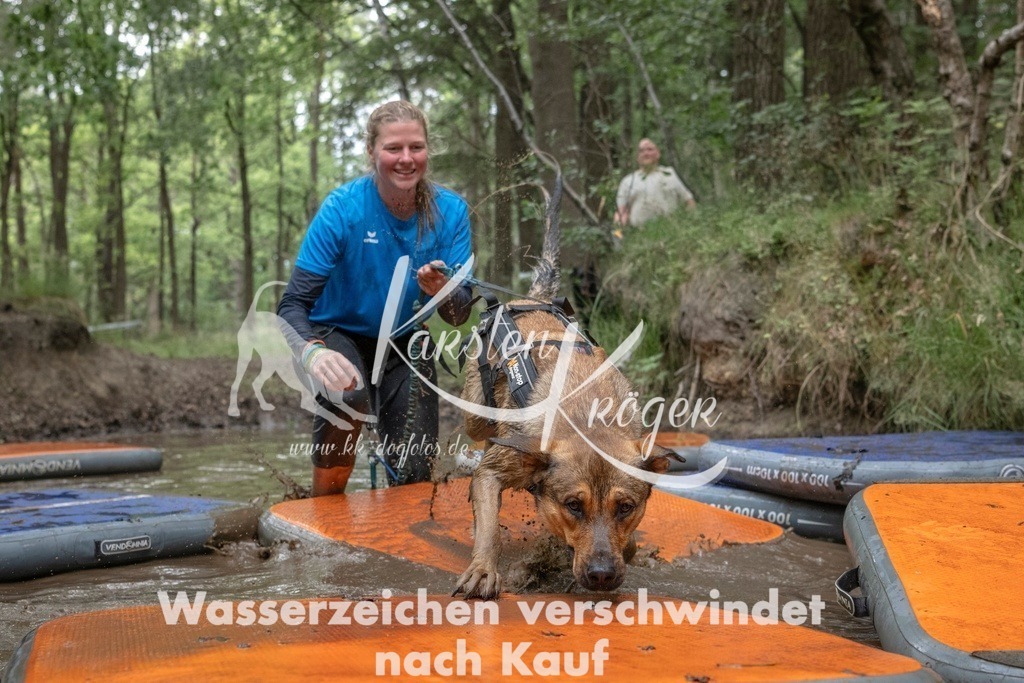 0915_ZZ90990T | kk-dogfotos