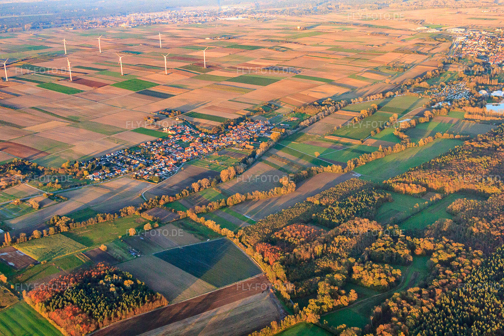 Luftbild: Dorf am Klingbach in Rülzheim im Bundesland Rheinland-Pfalz in Deutschland. Foto: IMG_60791.jpg vom 31.10.2013 durch Werner Riehm/FLY-FOTO.de