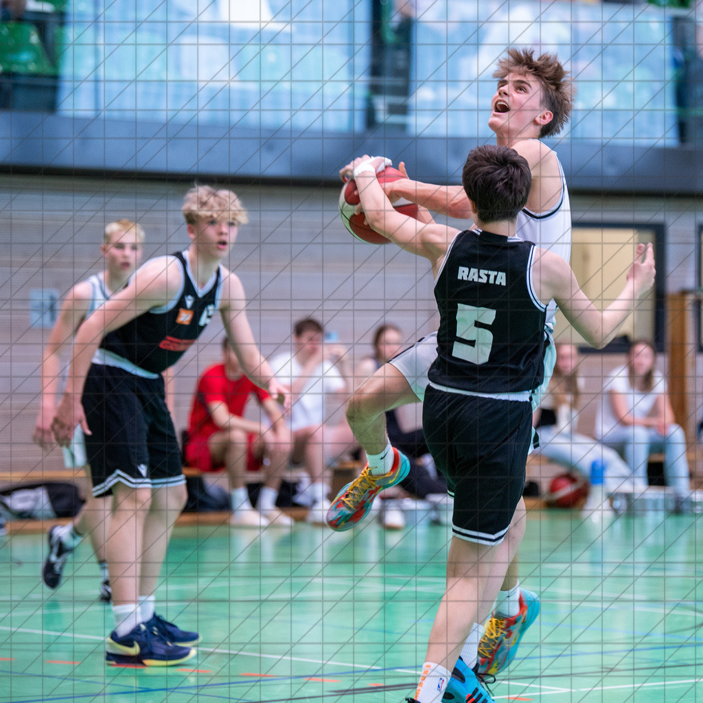 @Martin König_20240623__DSC2071 | bullenfotos|de - Realisiert mit Pictrs.com