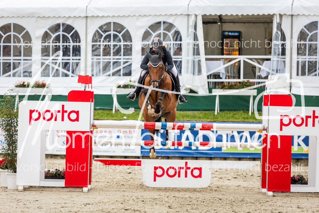 BHO-2PhSpr-M-308 | MomenTaufnahmen Pferdesportfotos