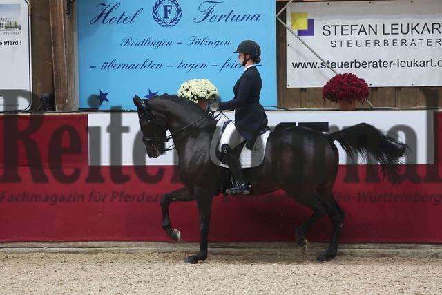 Reutlingen_2024_Prfg.Nr.03_Intermediaire II_Maja-Lena Bosch-Arens_Dolino 7 (7) | Alle Fotos der Reiterjournal Fotografin Doris Matthaes im Reiterjournal Online-Fotoshop. - Realisiert mit Pictrs.com