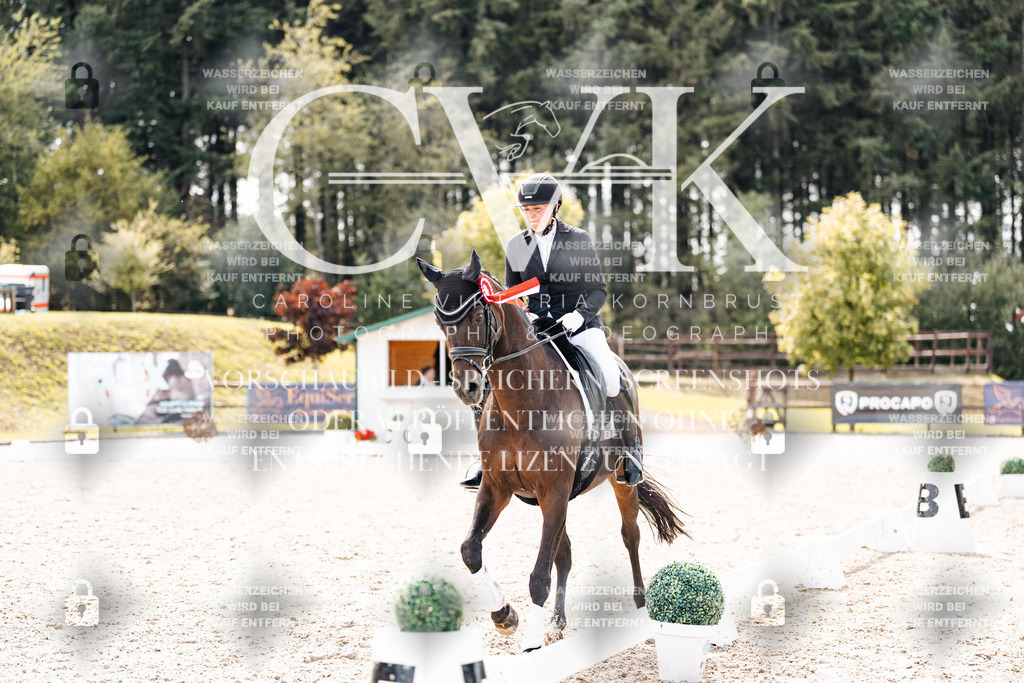 CK900943 | Turnierfotografie Pferdefotografie Trier Rheinland-Pfalz Pferdesport Reitsport Tierfotografie Sportfotografie Pferdevideo Pferdevideografie Equestrianvideography equestrianphotography  - Realisiert mit Pictrs.com