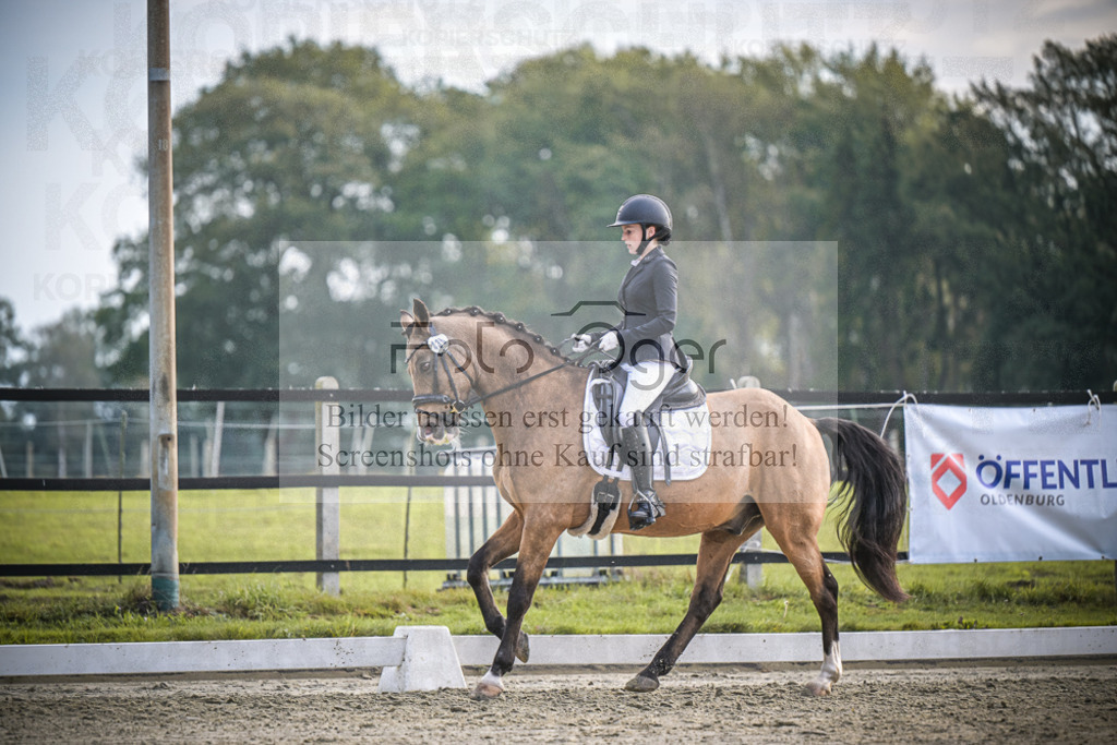 DOS_4521 | Entdecke hochwertige Reitturnierfotos von Foto Oger. Professionell, emotional und authentisch – jetzt Lieblingsmomente im Shop bestellen.Deutschlandweite Turnierfotografie. - Realisiert mit Pictrs.com