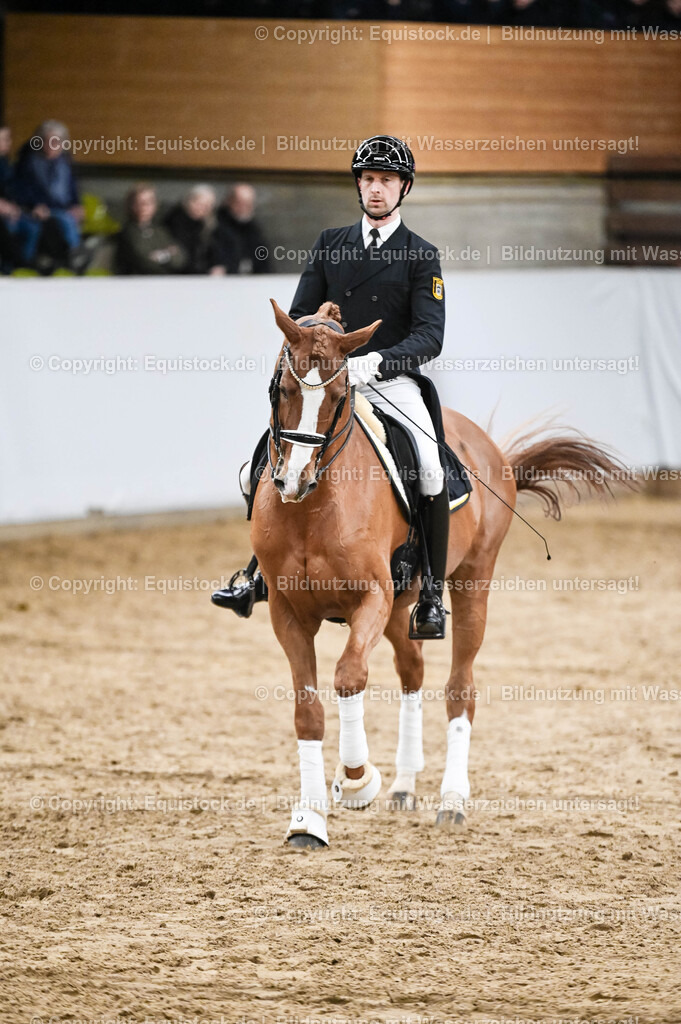 20260307_Hengstvorstellung-Marbach_0317 | equistock