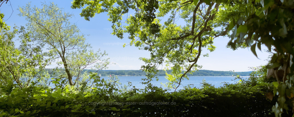 Panorama Möhnesee hinter Blätterumrandung | Panorama Bild vom Möhnesee umrahmt von grünen, belaubten Ästen. Im Sommer sind viele Segelschiffe zu sehen. 