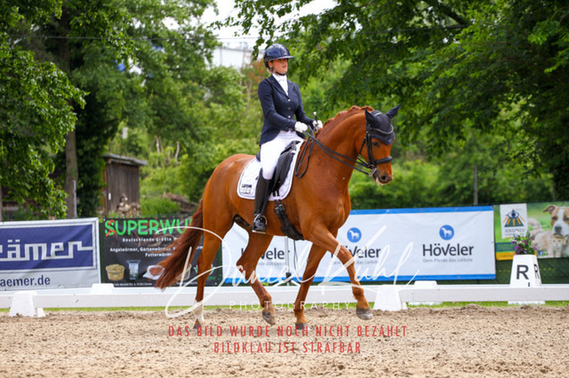 DKP41209 | Turnierfotos kaufen im Webshop von Daniel Kuhl Photography – entdecke professionelle Reitsportfotos aus Turnieren & Events. Hochwertige Turnierbilder online bestellen & sichern. Jetzt Fotos von Reitsportturnieren kaufen!