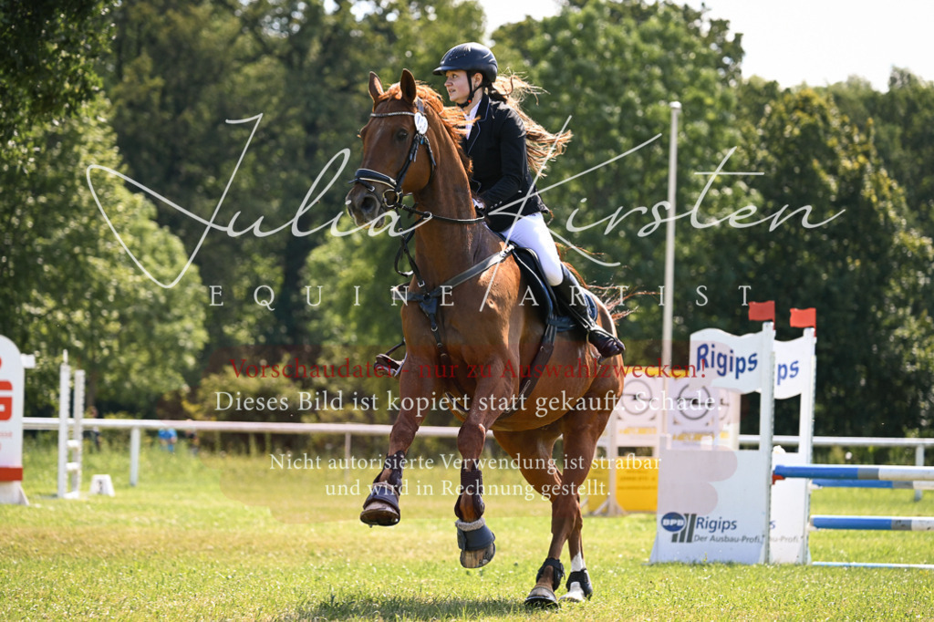 DSC_8876 | Pferde- und Turnierfotografie in Westsachsen. Pferdeportraits, Auftragszeichnungen und intuitive Kunst.