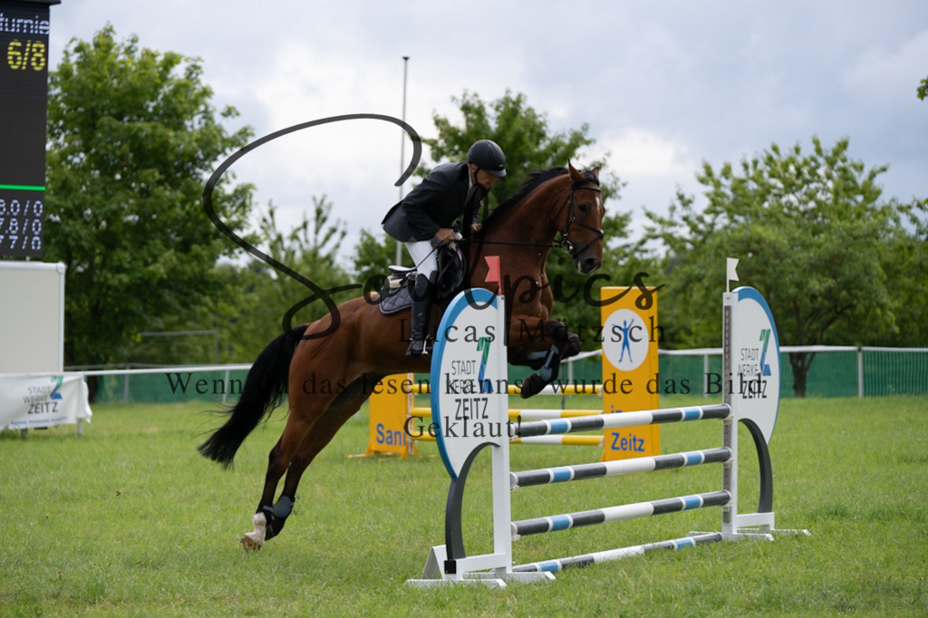 A7V03997 | Pferdefotograf