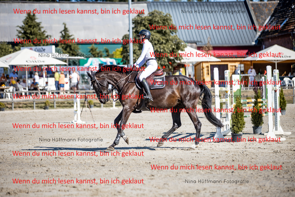 BK1A8014 | Turnierbilder Turnierfotos Nina Hüffmann Turnierfotografie Pferdefotografie Tierzeichnung Haustierzeichnung Pferdezeichnung Hundezeichnung Videograf  - Realisiert mit Pictrs.com