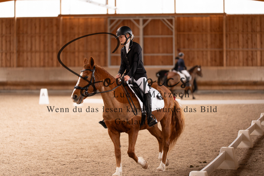 A7506950 | Turnier/Reitfotograf