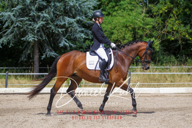 DKP46629 | Turniersportfotografie; Pferdefotografie; Dressurfotografie