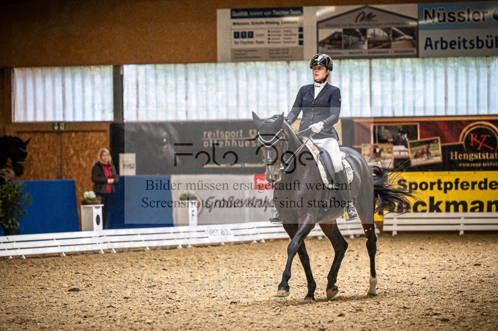 DOS_3387 | Entdecke hochwertige Reitturnierfotos von Foto Oger. Professionell, emotional und authentisch – jetzt Lieblingsmomente im Shop bestellen.Deutschlandweite Turnierfotografie. - Realisiert mit Pictrs.com