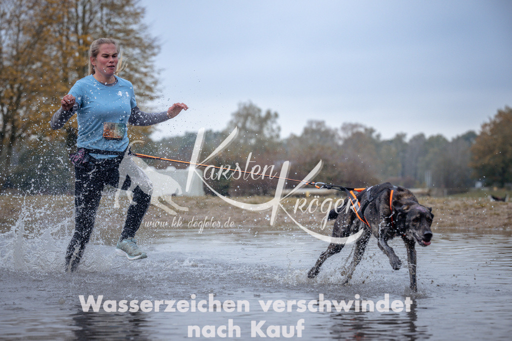 1155_ZZ97366 | kk-dogfotos