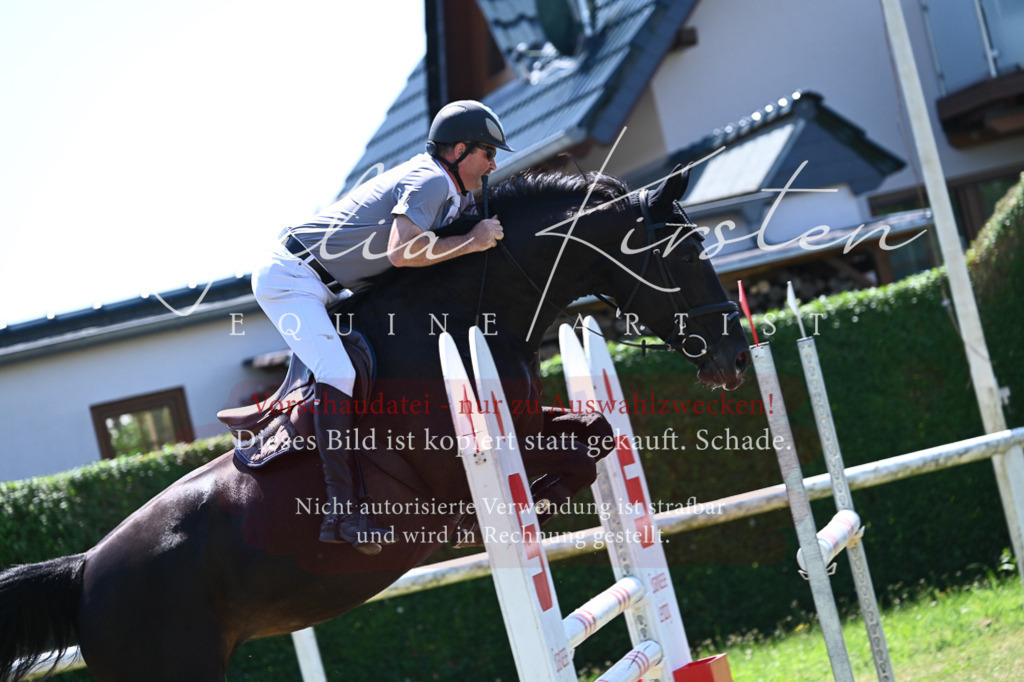 DSC_0767 | Pferde- und Turnierfotografie in Westsachsen. Pferdeportraits, Auftragszeichnungen und intuitive Kunst.