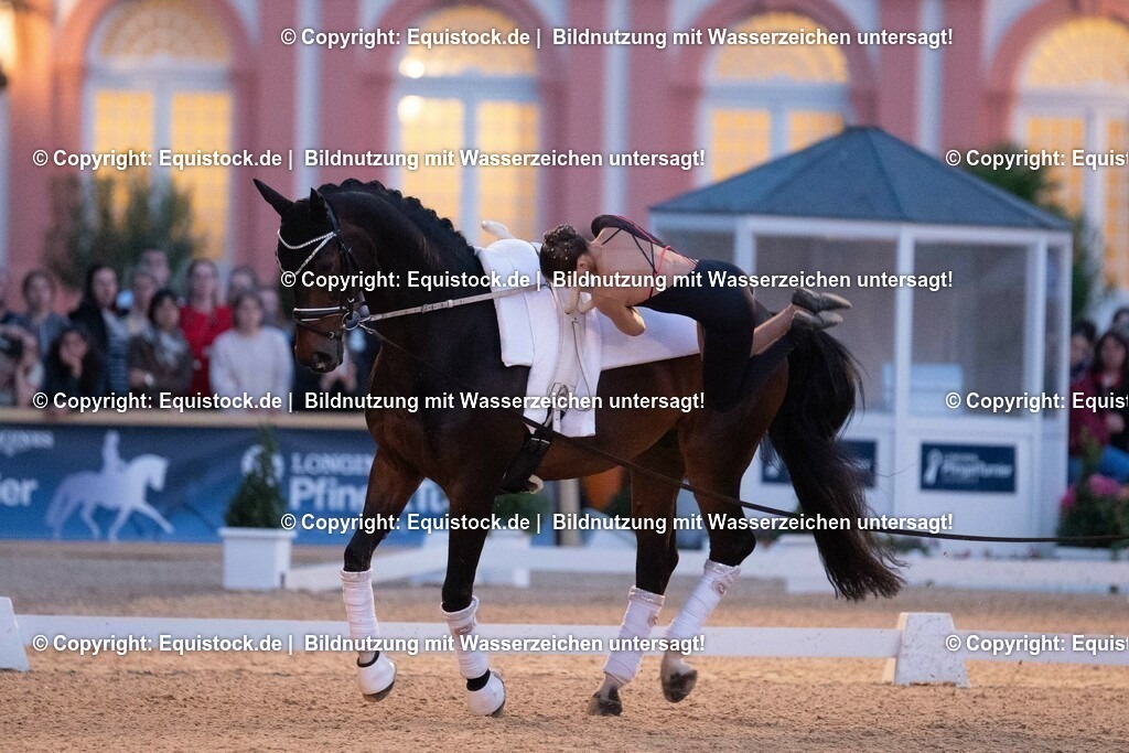 20230527_Voltigieren_NASPA_Flutlicht_0475 | equistock