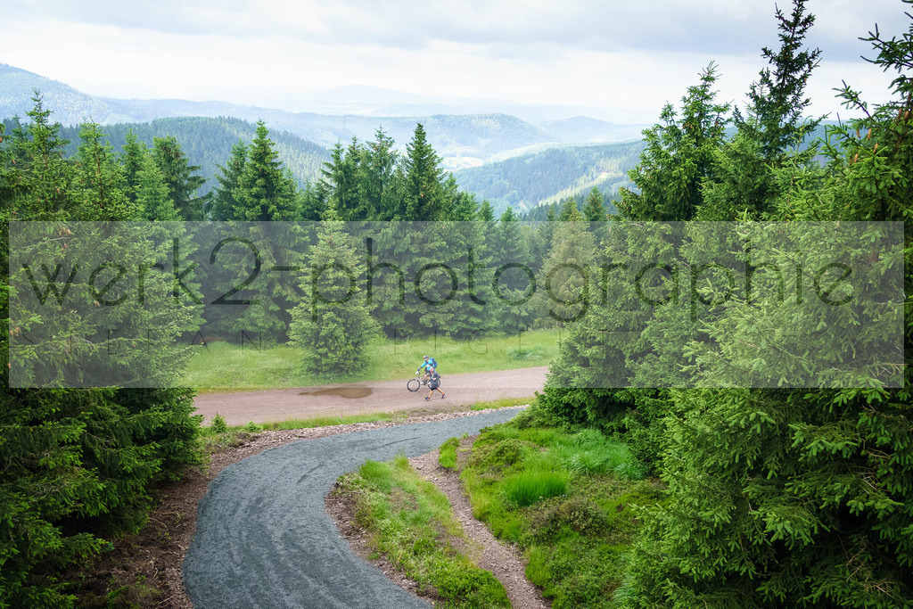 Rennsteig-Staffellauf | 24. Staffellauf - 22.06.2024 von Hörschel nach Blankenstein