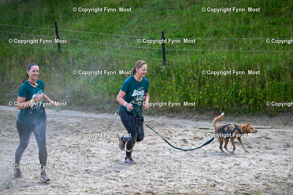 DSC_4090 | Hallo und herzlich Willkommen auf meiner Shop-Seite Fynn Most.

Ich wünsche Dir viel Spaß beim stöbern durch die Bilder, wenn Du Fragen hast oder Bilder vermisst, kannst du mir gerne eine Nachricht schreiben. - Realisiert mit Pictrs.com