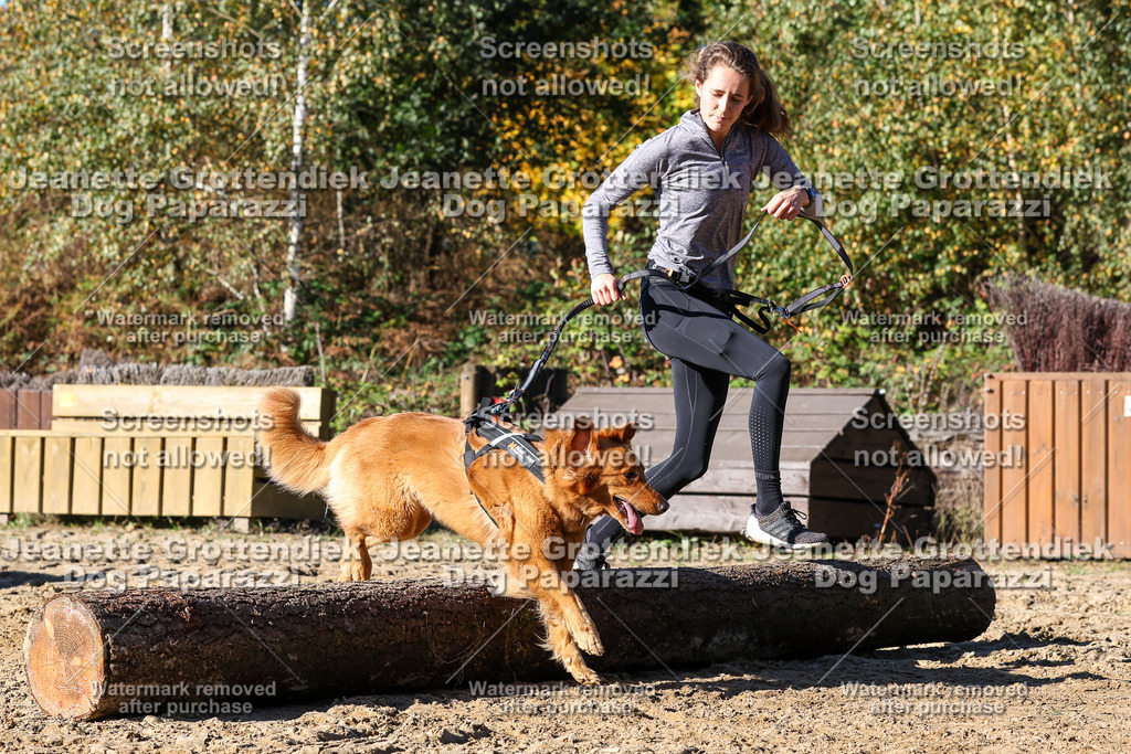 Dog Paparazzi - Strongdog 10-25-2396 | Dog Paparazzi Jeanette Grottendiek Fotografie & Videografie - Realisiert mit Pictrs.com