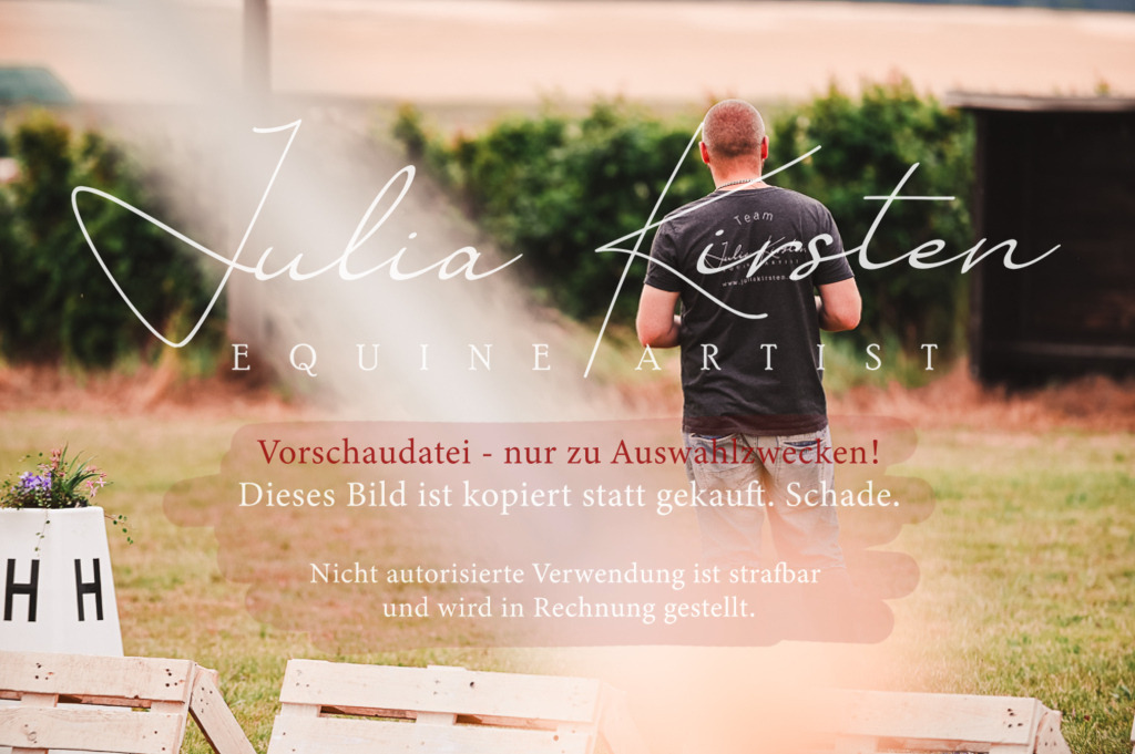 DSC_6137 | Pferde- und Turnierfotografie in Westsachsen. Pferdeportraits, Auftragszeichnungen und intuitive Kunst.