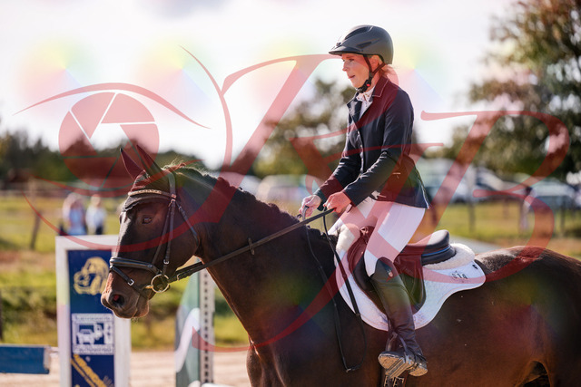 2026_10_03_Siefer-Hof_143915_Z81_09693046 | Professionelle Reitsport-, Turnier- und Eventfotografie von Robert Broda. Galerien mit ausgewählten und bearbeiteten Bildern direkt online ansehen und bestellen.