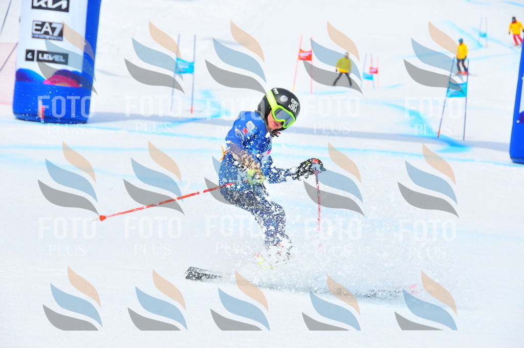 DSC_2514 | holidayphoto