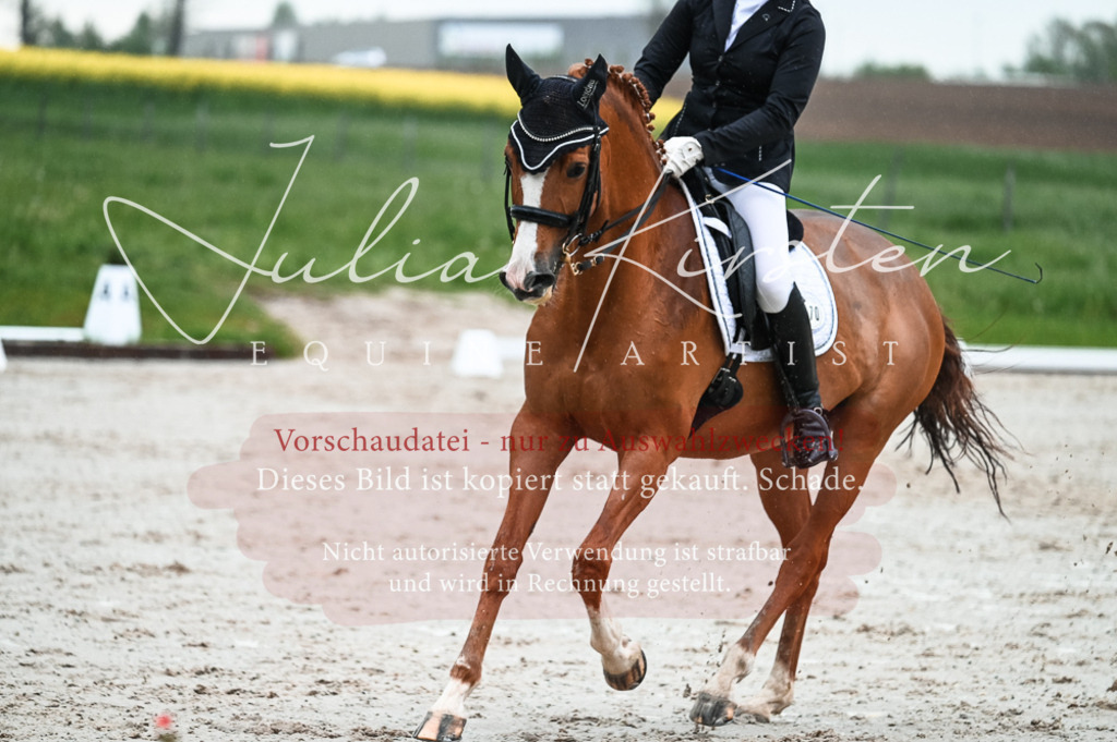 DSC_4482 | Pferde- und Turnierfotografie in Westsachsen. Pferdeportraits, Auftragszeichnungen und intuitive Kunst.