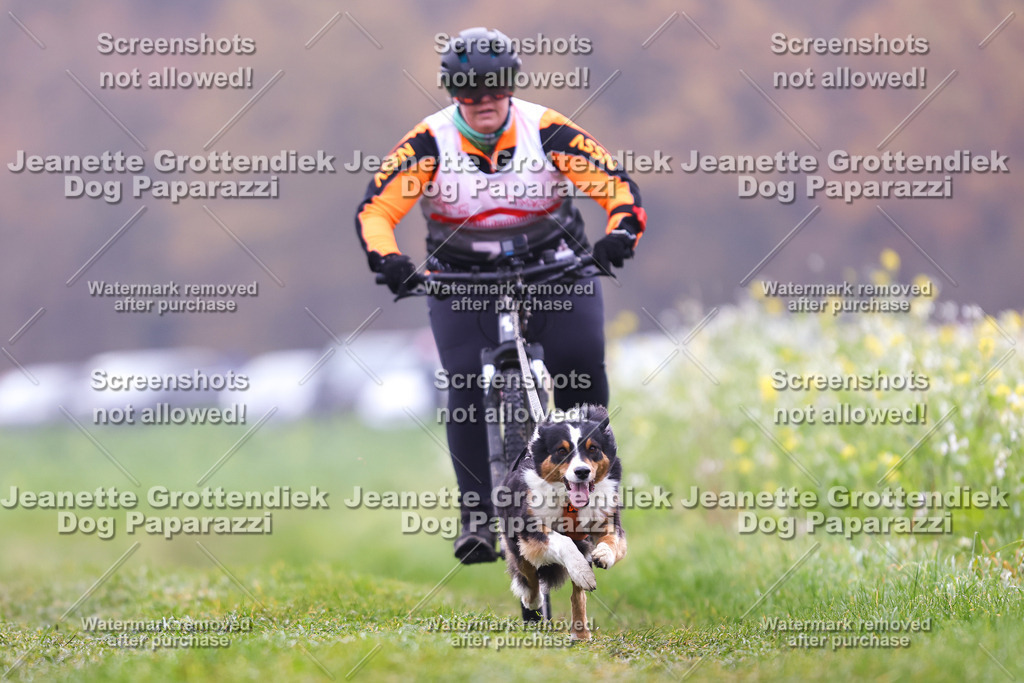 Dog Paparazzi - Visbeck 25 -218 | Dog Paparazzi Jeanette Grottendiek Fotografie & Videografie - Realisiert mit Pictrs.com