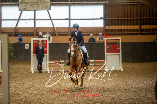 IMG_1676 | Turniersportfotografie; Pferdefotografie; Dressurfotografie