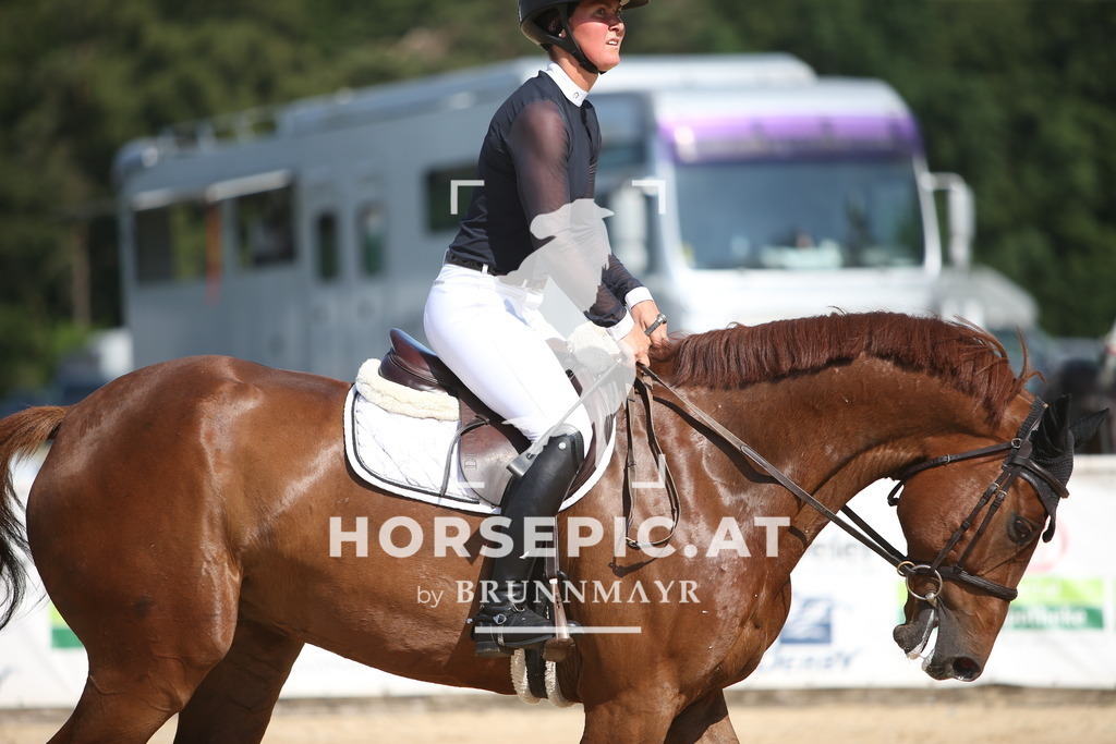 PP015975 | Willkommen bei Brunnmayr - Design & Fotografie – Ihrem Spezialisten für Reitturniere und Pferdeveranstaltungen in Oberösterreich, Salzburg und Bayern! Seit über 17 Jahren sind wir leidenschaftlich dabei.