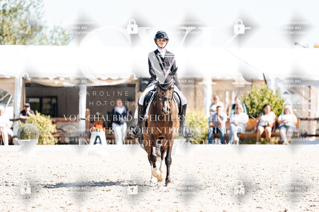 CK909678 | Turnierfotografie Pferdefotografie Trier Rheinland-Pfalz Pferdesport Reitsport Tierfotografie Sportfotografie Pferdevideo Pferdevideografie Equestrianvideography equestrianphotography  - Realisiert mit Pictrs.com