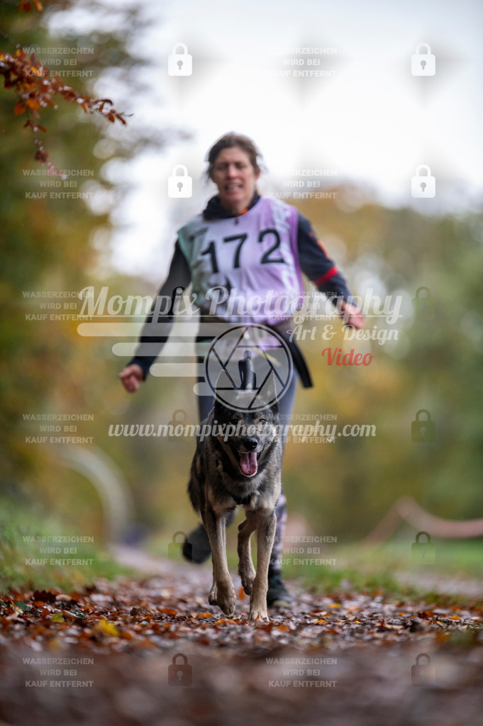 DBT_DAKM_SA_4_11_2023_Canicross-123 | PayLife