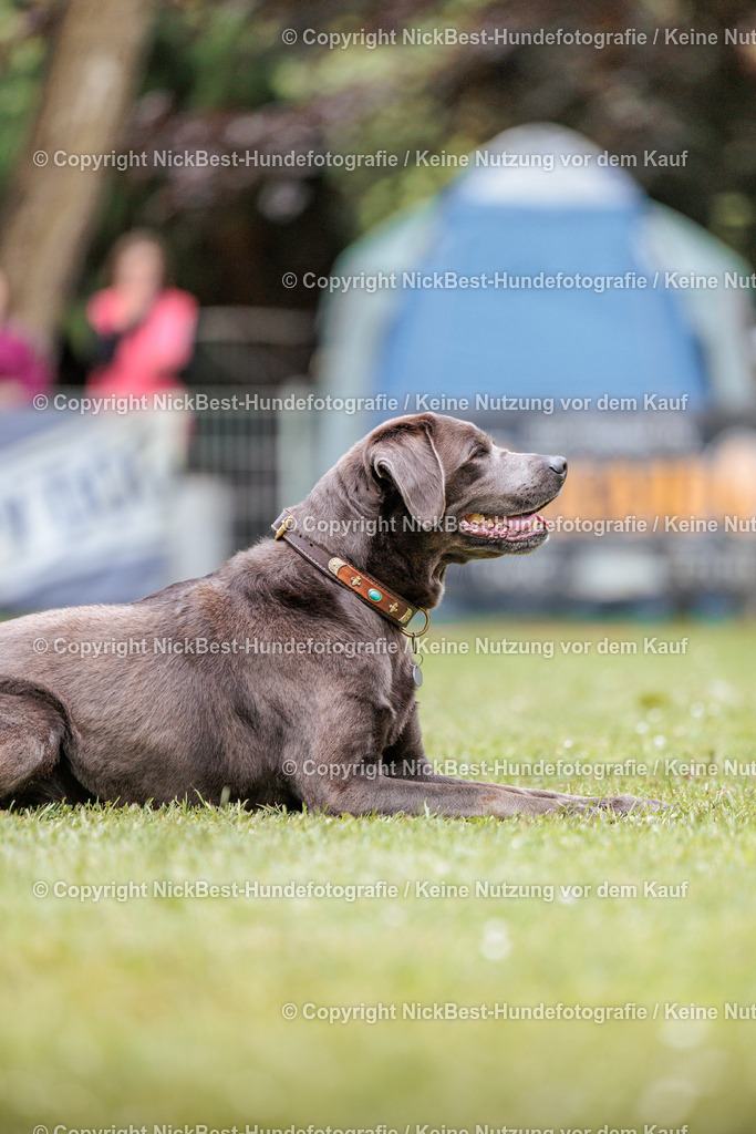 RO-Blumenthal-2026-Nickbest-Hundefotografie-2978 | Dein Hund! Dein Moment! Deine Erinnerungen! Hundefotografie in Bremen Blumenthal. Ich fange die besonderen Momente deines Vierbeiners ein – ob Indoor mit Blitzanlage oder in der freien Natur. Sicher dir dein Moment und dein Termin für eure Erinnerungen.