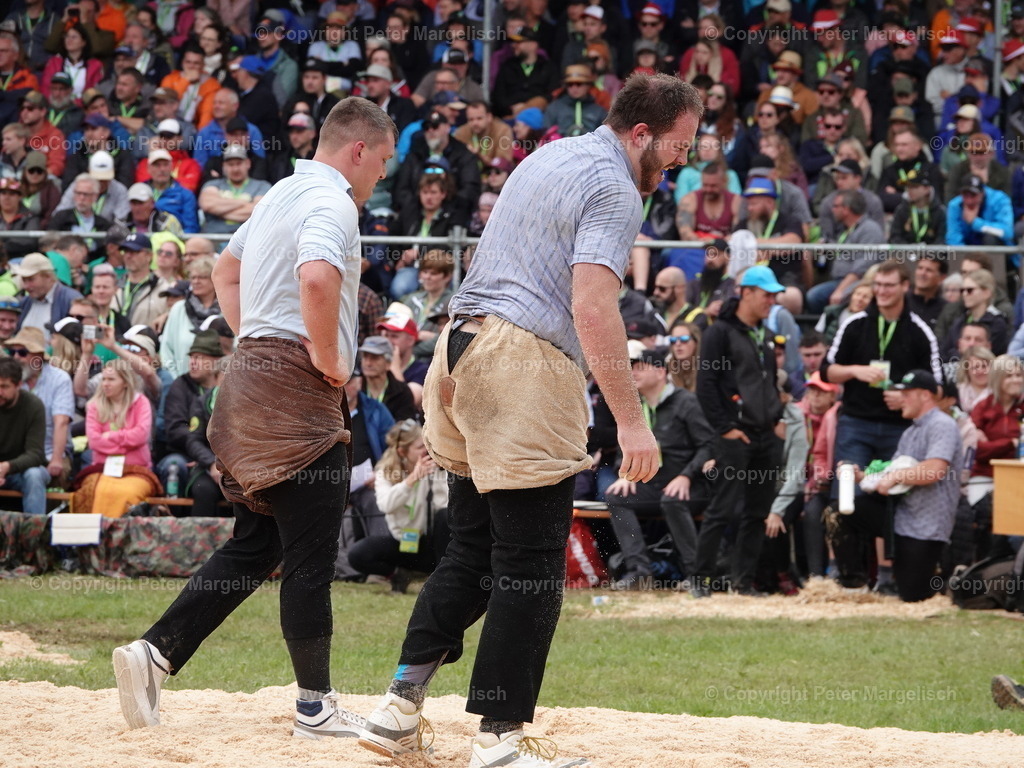 DSC08106 | Schwingen - Realisiert mit Pictrs.com