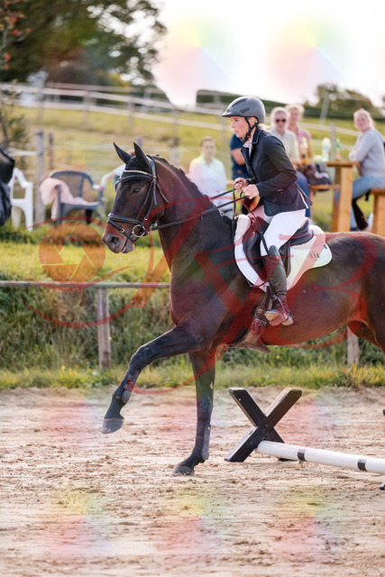 2026_10_03_Siefer-Hof_144031_Z81_11513228 | Professionelle Reitsport-, Turnier- und Eventfotografie von Robert Broda. Galerien mit ausgewählten und bearbeiteten Bildern direkt online ansehen und bestellen.