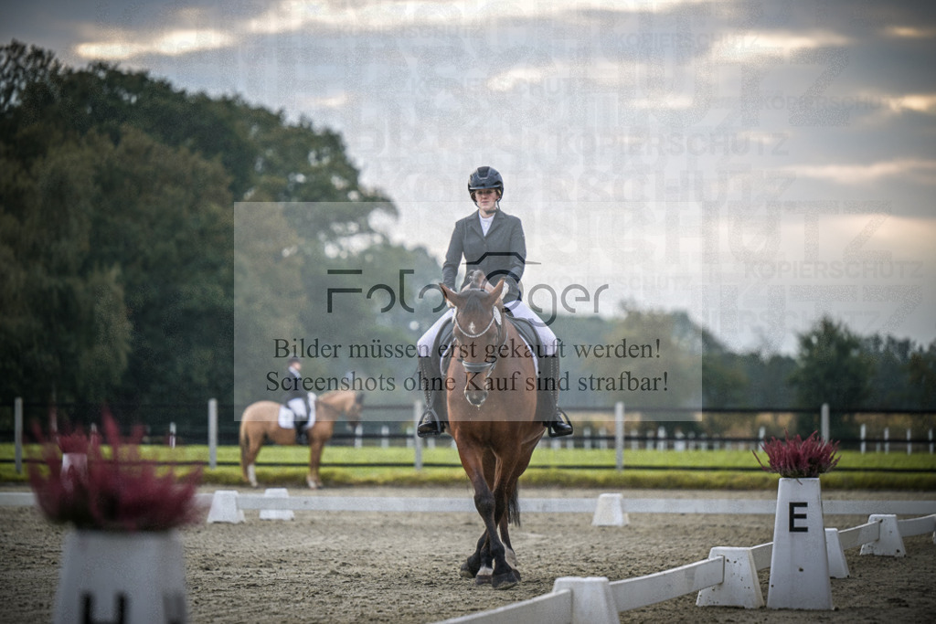 DOS_1828 | Entdecke hochwertige Reitturnierfotos von Foto Oger. Professionell, emotional und authentisch – jetzt Lieblingsmomente im Shop bestellen.Deutschlandweite Turnierfotografie. - Realisiert mit Pictrs.com
