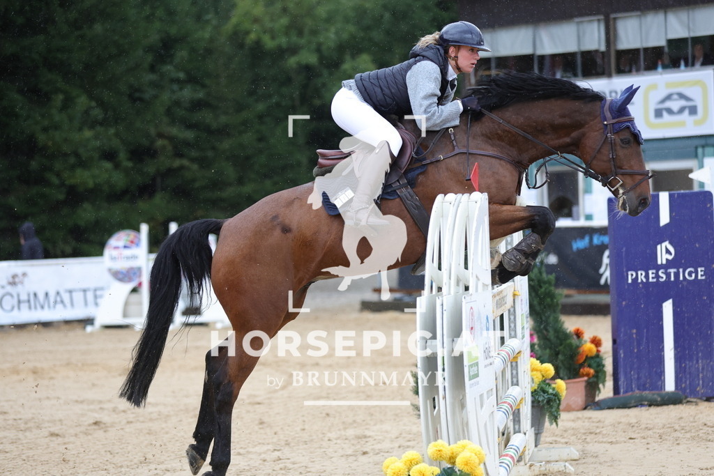 0P6A9261 | Willkommen bei Brunnmayr - Design & Fotografie – Ihrem Spezialisten für Reitturniere und Pferdeveranstaltungen in Oberösterreich, Salzburg und Bayern! Seit über 17 Jahren sind wir leidenschaftlich dabei.