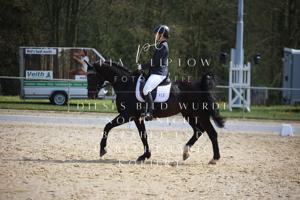 IMGT4656 | pl-fotografie