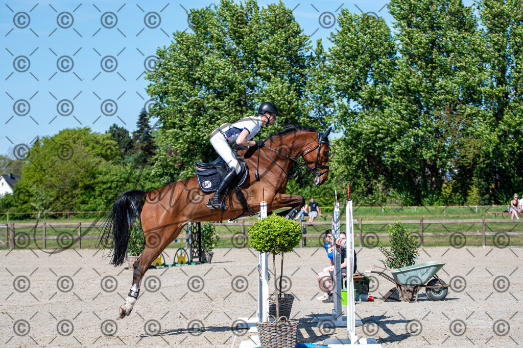 KPT_1477 | andre_photographic