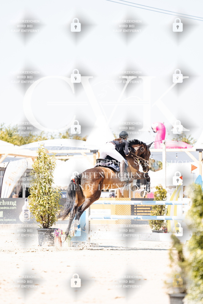 CK909833 | Turnierfotografie Pferdefotografie Trier Rheinland-Pfalz Pferdesport Reitsport Tierfotografie Sportfotografie Pferdevideo Pferdevideografie Equestrianvideography equestrianphotography  - Realisiert mit Pictrs.com