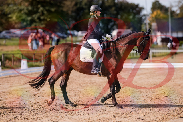 2026_10_03_Siefer-Hof_122809_Z81_26414782 | Professionelle Reitsport-, Turnier- und Eventfotografie von Robert Broda. Galerien mit ausgewählten und bearbeiteten Bildern direkt online ansehen und bestellen.