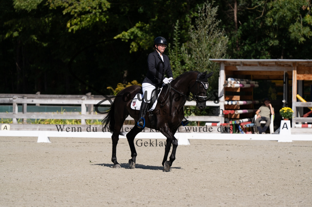 A7V07068 | Turnier/Reitfotograf