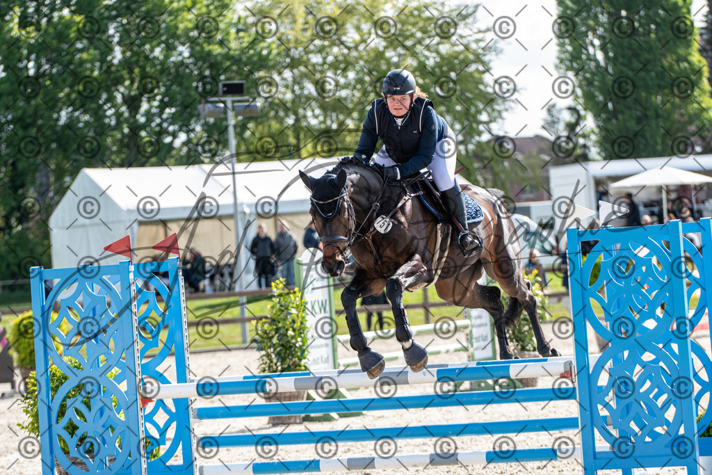 KPT_4651 | andre_photographic