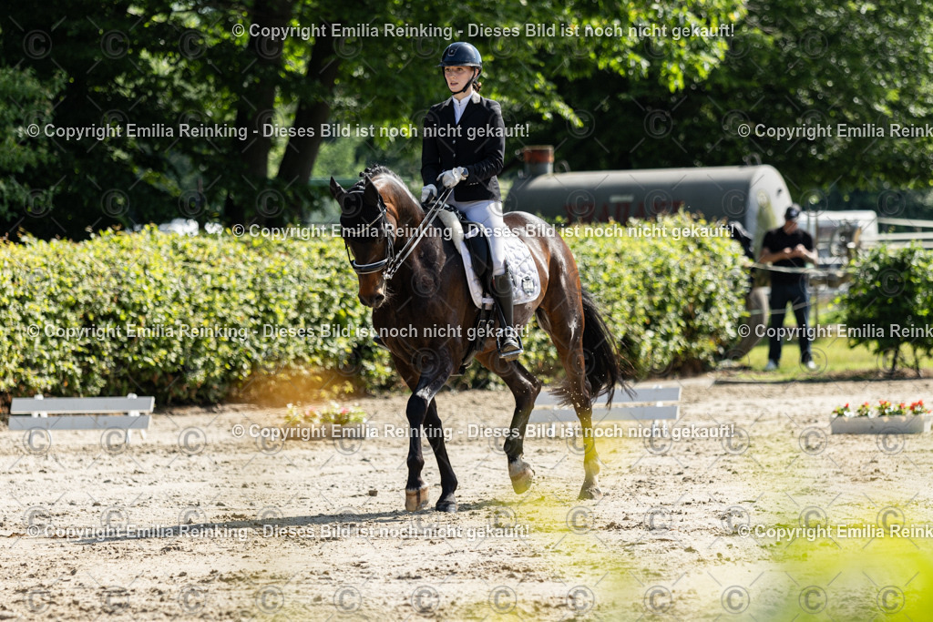 CL5A7311 | Emilia Reinking Fotografie - Realisiert mit Pictrs.com