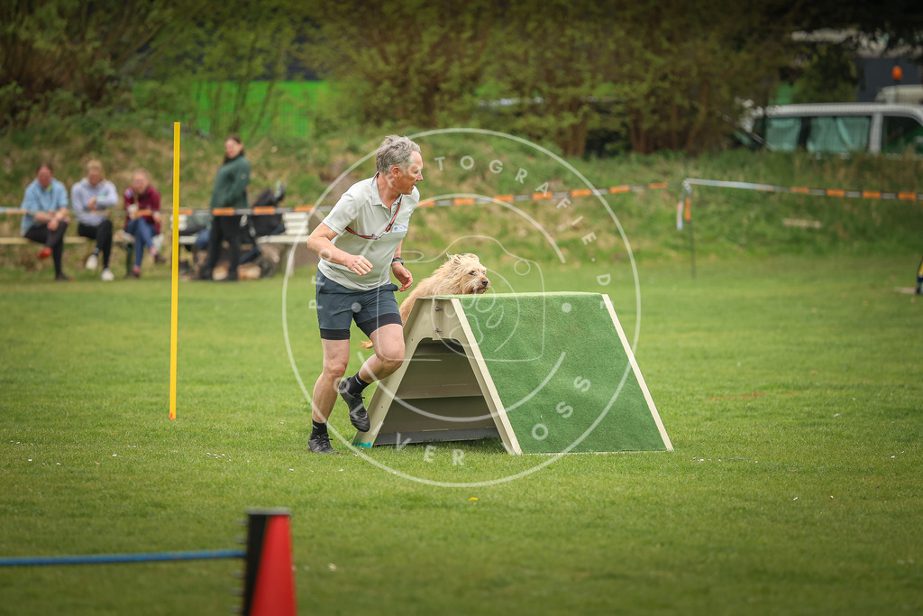 Pfotenfotografie_0L8A1767 | Hundefotografie, Tierfotograf, Pfotenfotografie, Fotoshooting Hund, Hunde Portrait, Hundesport, Hundeportraits, Heideshooting, Hunde, Sportfotograf, Hundefotograf, Turnierhundsport, THS,  - Realisiert mit Pictrs.com