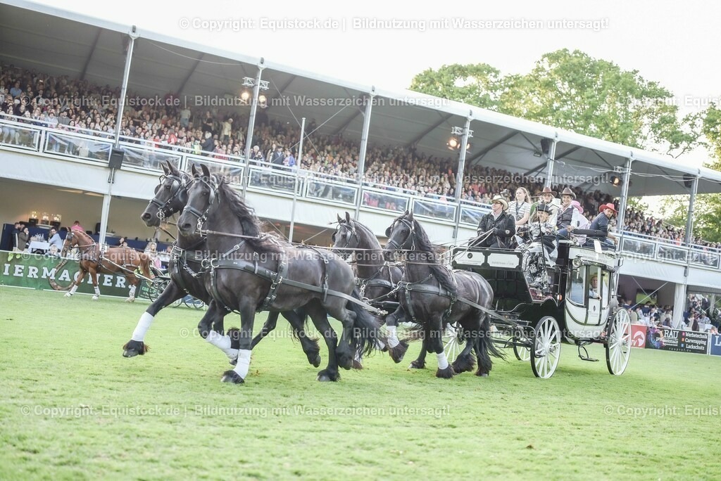 20230526_Pferdenacht_0197 | equistock