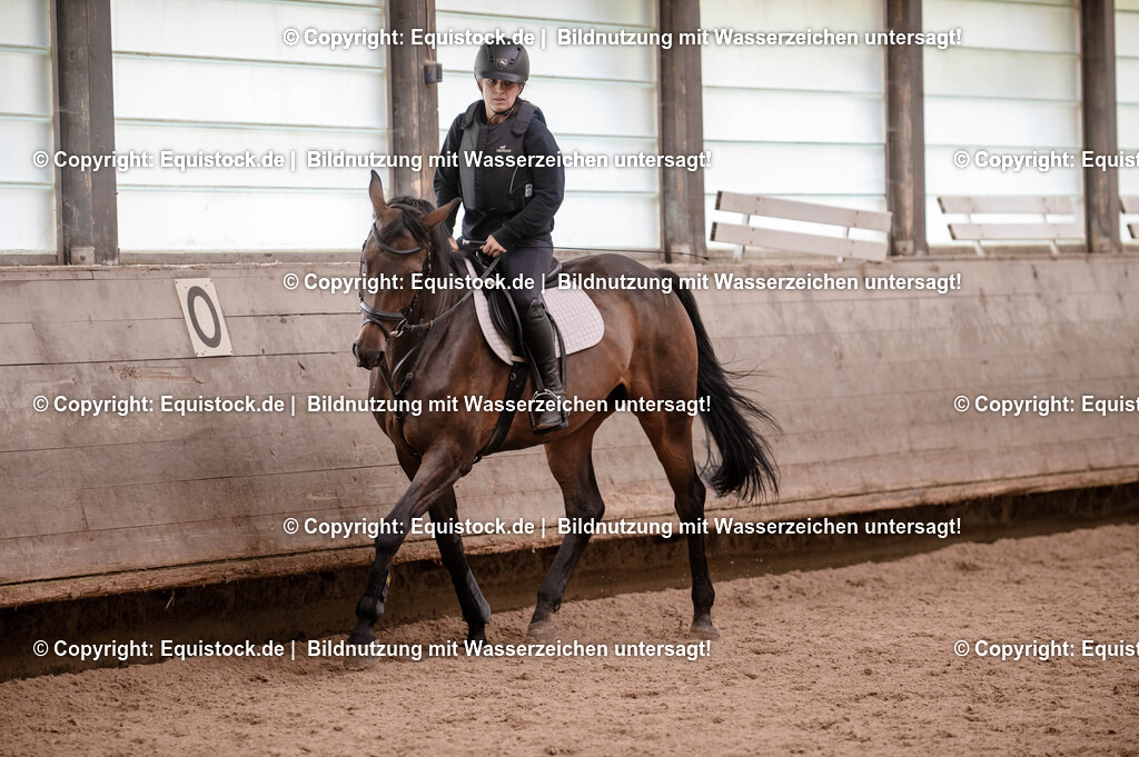 20250725_Vielseitigkeitslehrgang-Marbach_0007 | Foto: Thomas Hartig