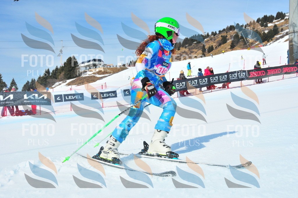 DSC_5371 | holidayphoto